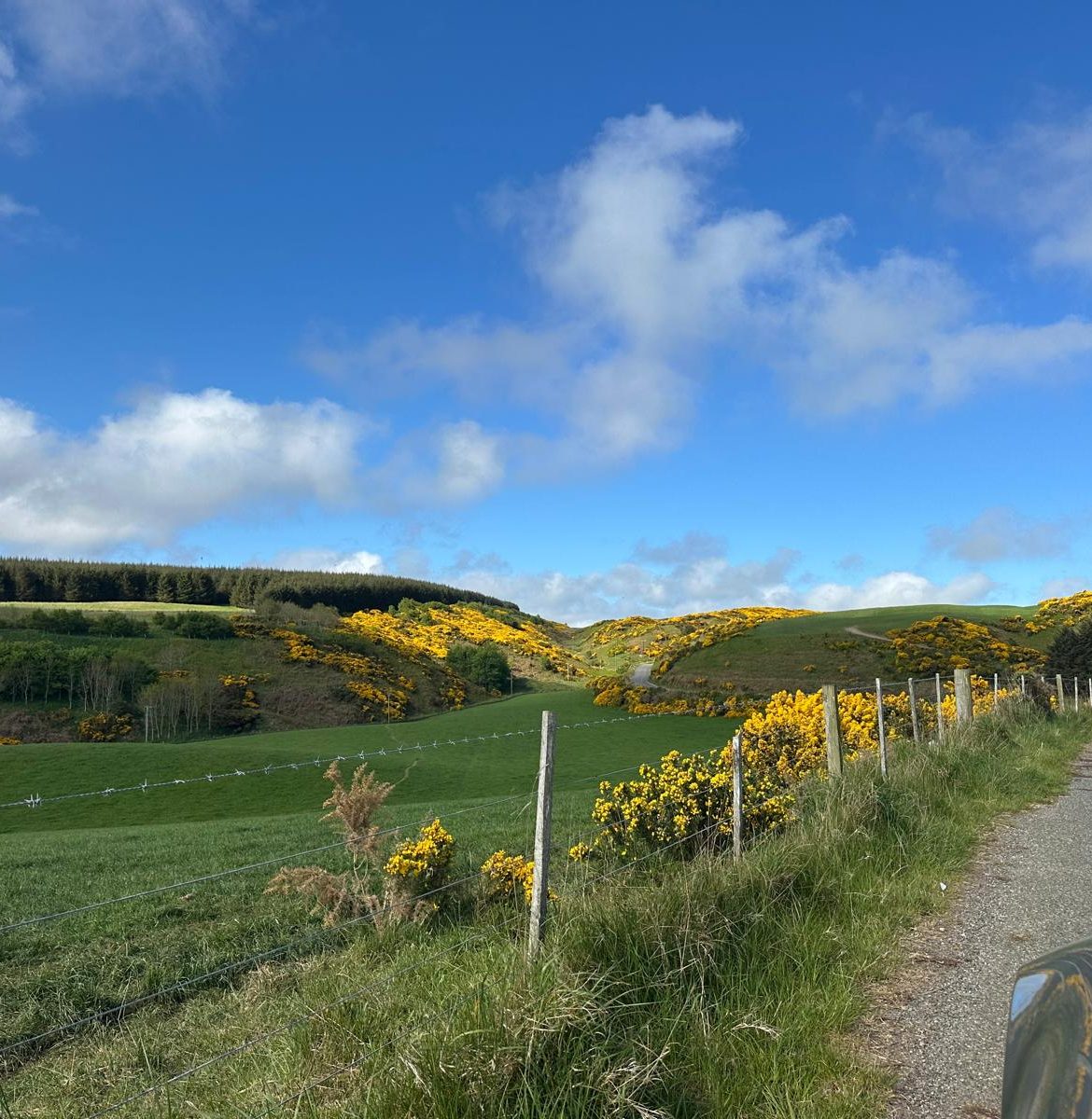 Scotland-fields Scotland-fields