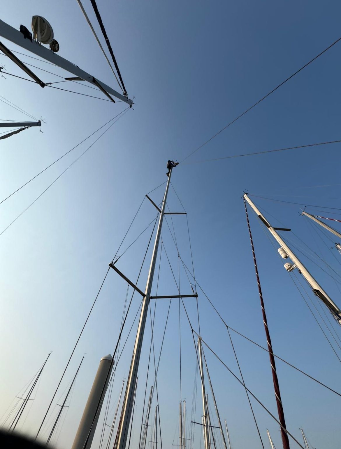 sail-boats