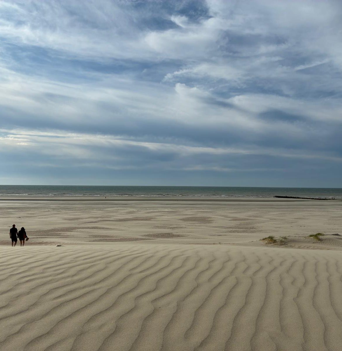 sand-dunes-sea sand-dunes-sea