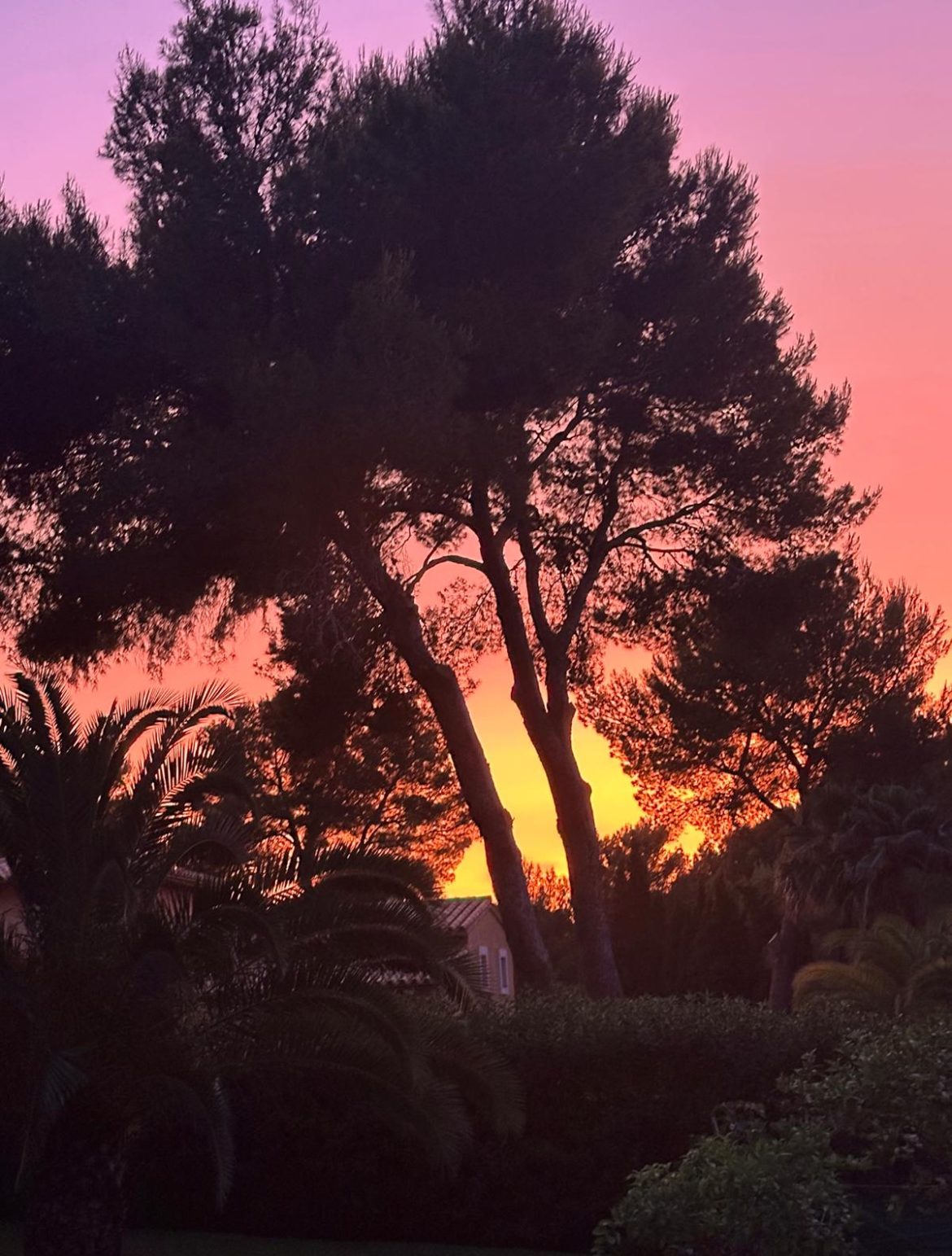 summer-sunset-spain-nature summer-sunset-spain-nature