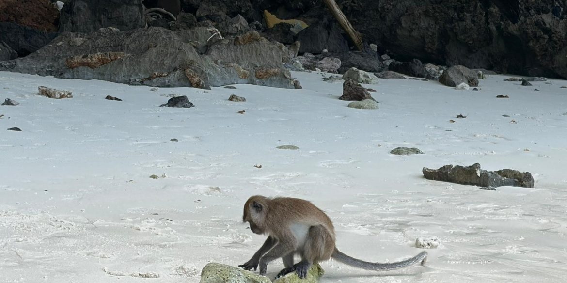 Scope Ratings confirms Luxembourg’s AAA rating